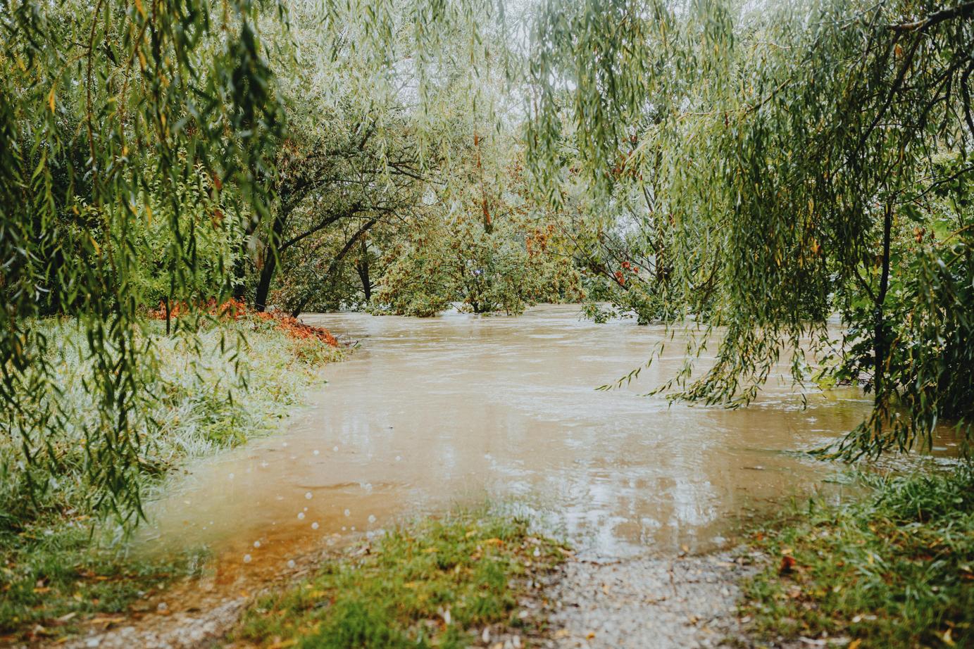 welches Wasser man im Luftbefeuchter verwenden soll